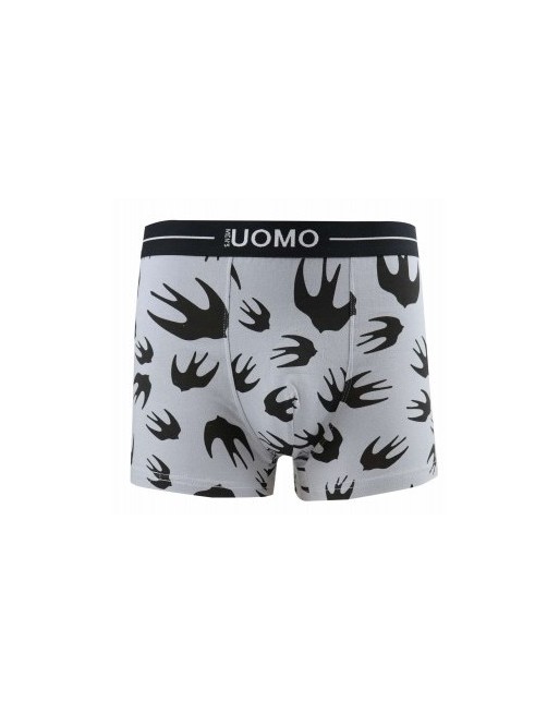 Boxer hirondelle gris et noir