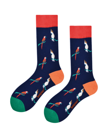 Chaussettes haute peroquet...