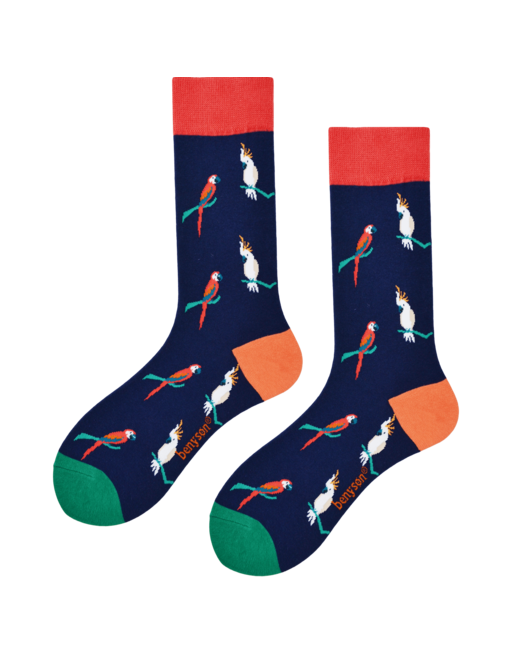 Chaussettes haute peroquet Coton Bio BENY-048