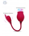 Rose Miss Coyness double stimulateur Clitoris Zones érogènes USB
