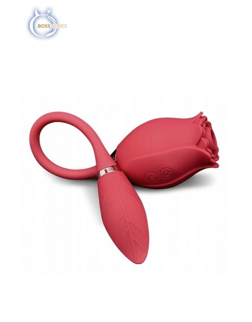Rose Miss Coyness double stimulateur Clitoris Zones érogènes USB