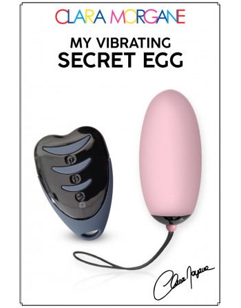 My Vibrating Secret Oeuf...
