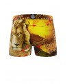 Boxer freegun lion
