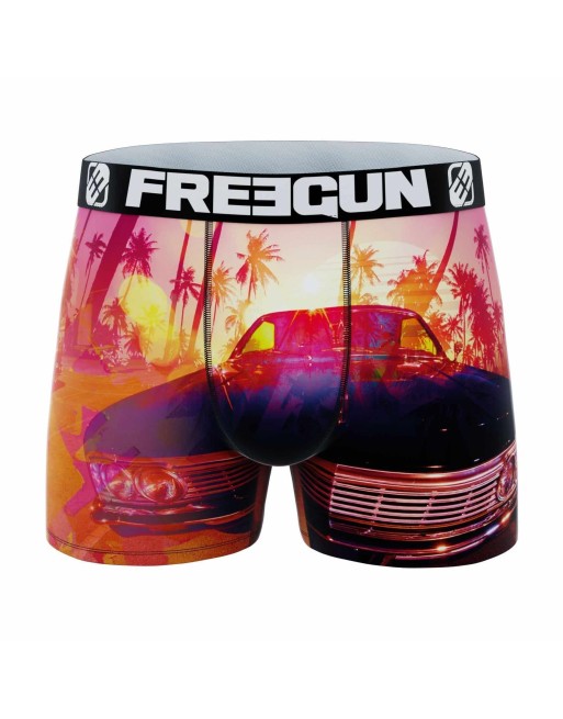 Boxer freegun voiture et palmiers