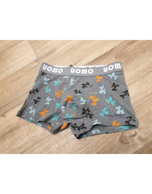 Boxer homme chien en ballon gris